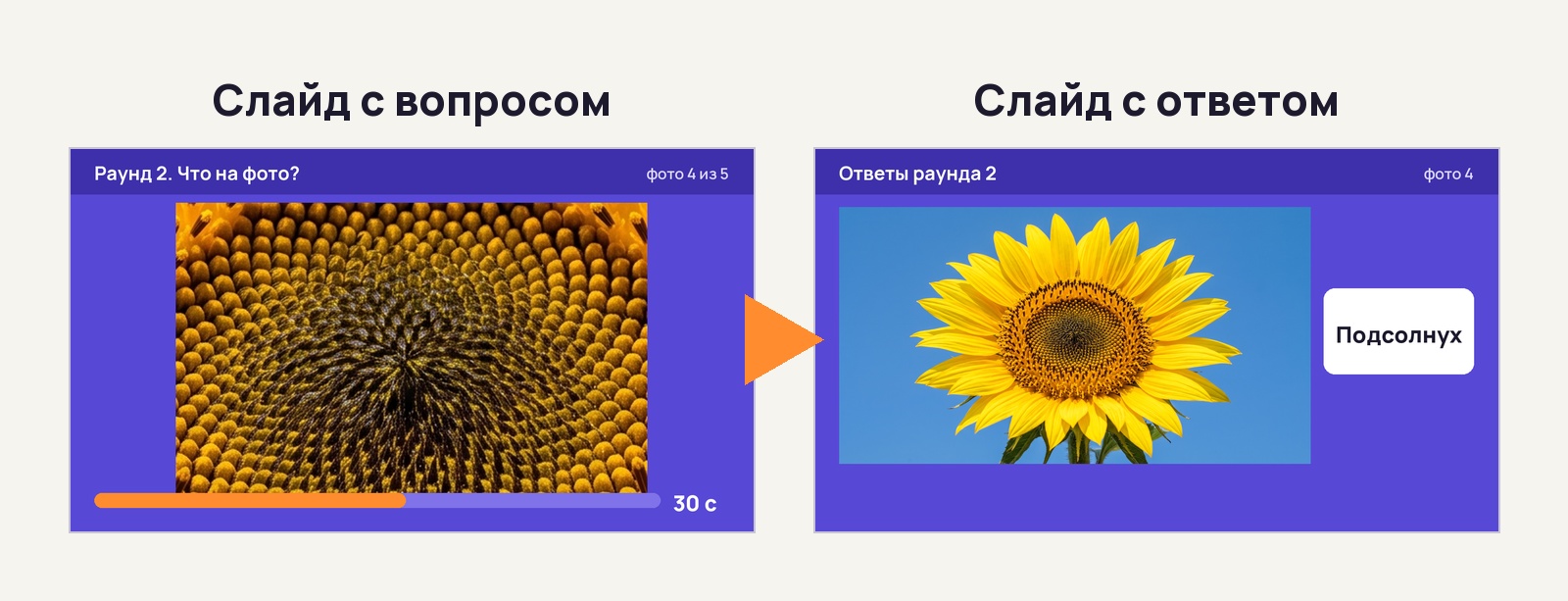 Два слайда фото-раунда: крупный план середины подсолнуха и ответ с целым цветком