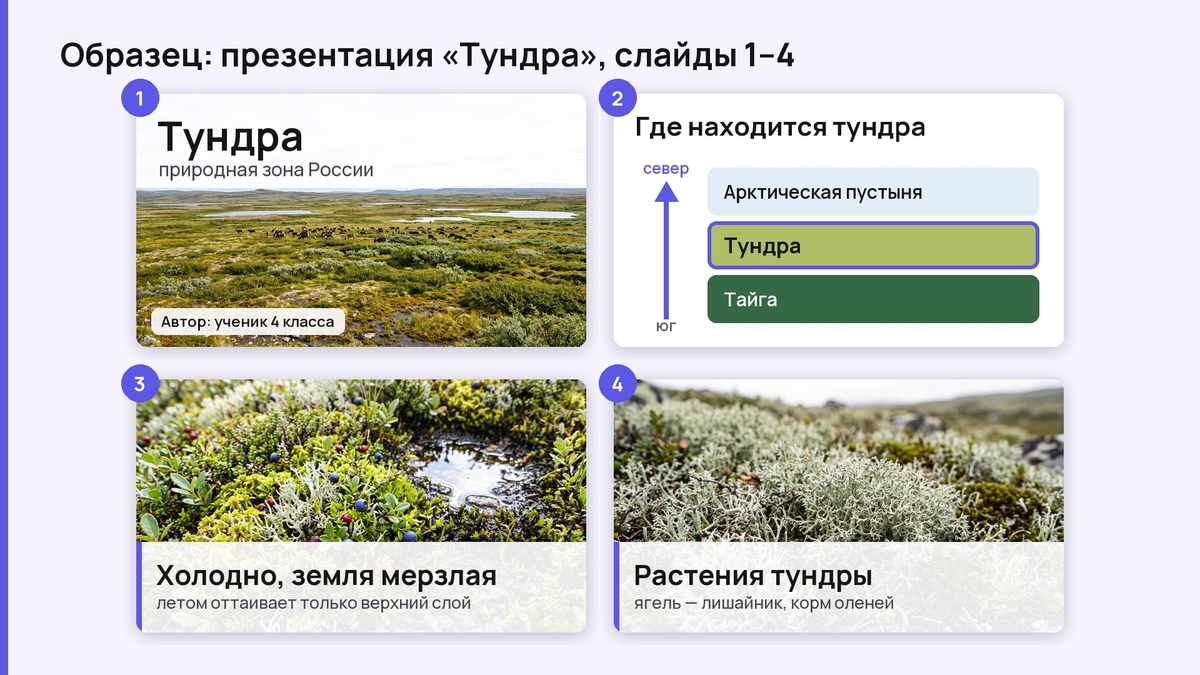 Образец презентации по окружающему миру «Тундра», слайды 1–4: название, место на карте, мерзлая земля, ягель